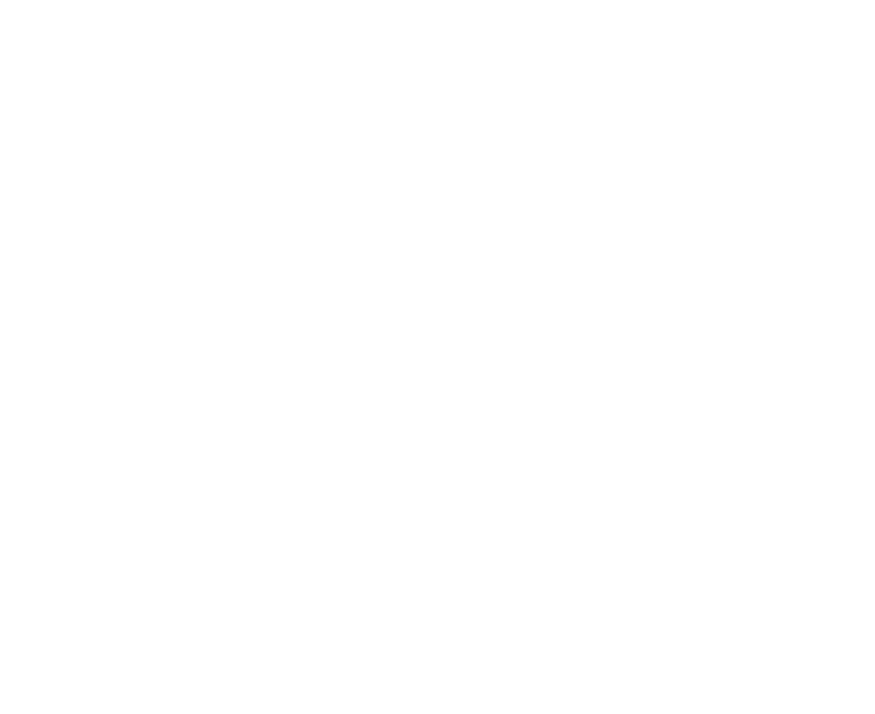 Veld Music Festival Logo